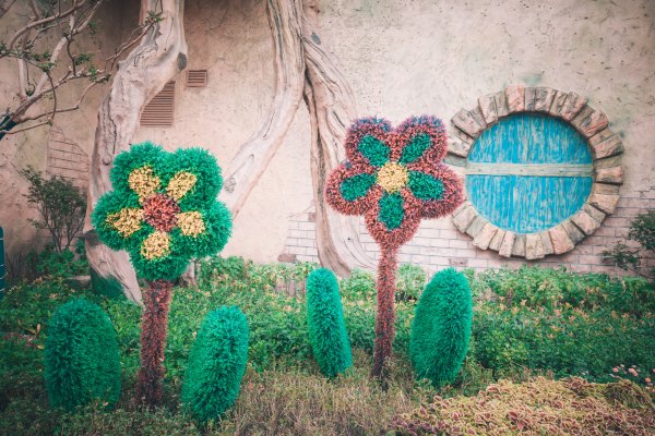 合肥青年旅游团,合肥旅游团迪士尼