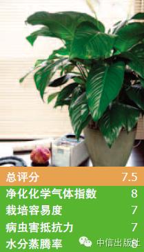 雾霾天室内空气真的比室外好吗,室内防止雾霾的小妙招
