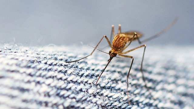 可视化开源爬虫工具,一款爆红的开源爬虫工具箱