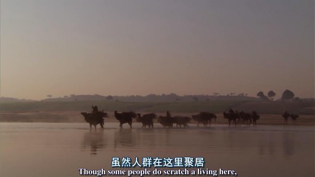 给大家推荐一个超好看的纪录片,推荐几部有深度的纪录片