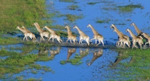 给大家推荐一个超好看的纪录片,推荐几部有深度的纪录片