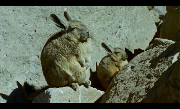 有哪些推荐量很高的纪录片,哪些好的纪录片