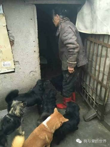 他们是最可爱的人作文700字 (他们是最可爱的人英语)