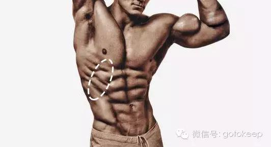 腹肌雕刻马甲线训练,腹肌马甲线七天看到效果