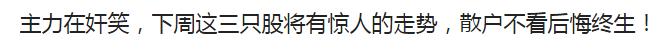 今日股市行情散户亏损,今日趋势行情怎么看不了