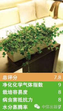 雾霾天室内空气真的比室外好吗,室内防止雾霾的小妙招