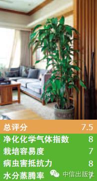 雾霾天室内空气真的比室外好吗,室内防止雾霾的小妙招