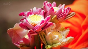 给大家推荐一个超好看的纪录片,推荐几部有深度的纪录片