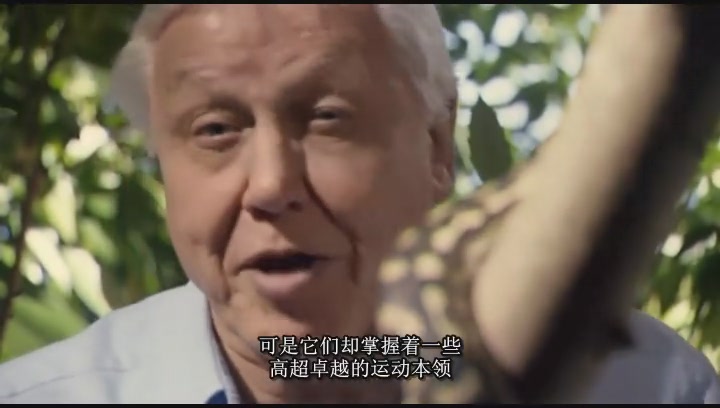 给大家推荐一个超好看的纪录片,推荐几部有深度的纪录片