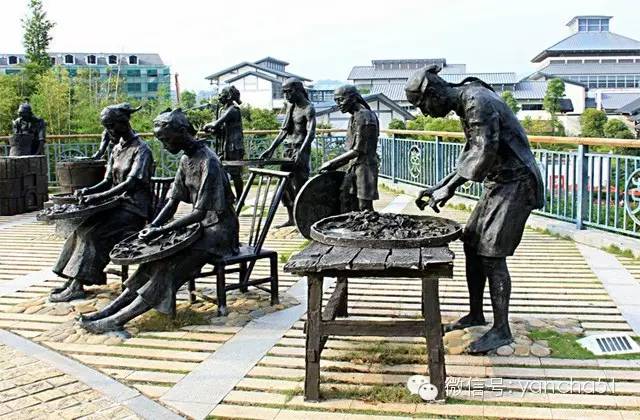 为何说大红袍是“乞丐的外表，皇帝的身价，菩萨的心肠”？