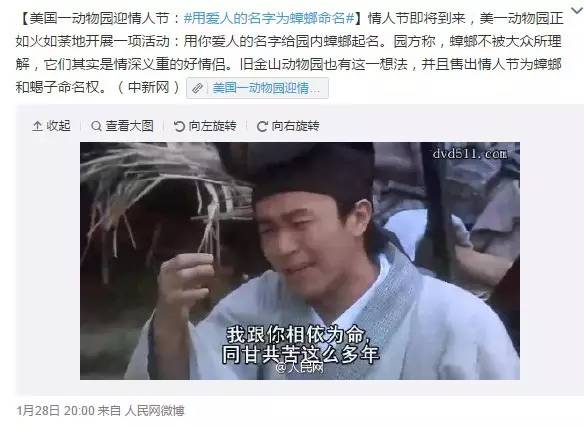 中国人民日报表情包图,人民网表情包暖心