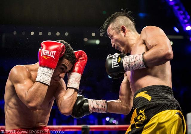 邹市明击打球,邹市明拳击ko