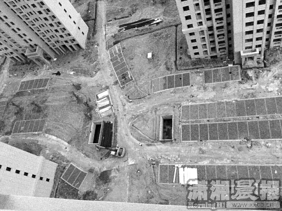 业主私自毁掉绿化建车位可以吗,业主占用小区公共绿化带建车位