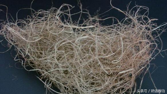 爱迪生的“天方夜谭”与灯泡，你以为很简单吗?