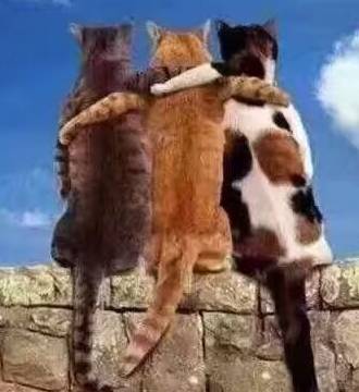 iphone落在出租车上怎么找回,苹果手机丢在出租车上如何找回