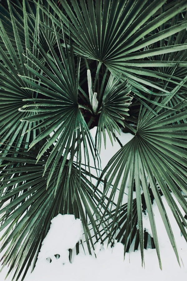 一个经常爆粗的女人能幸福吗,喜欢爆粗口的女生怎么样