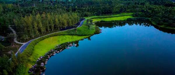 从一家房企的革命之路看它的理想情怀