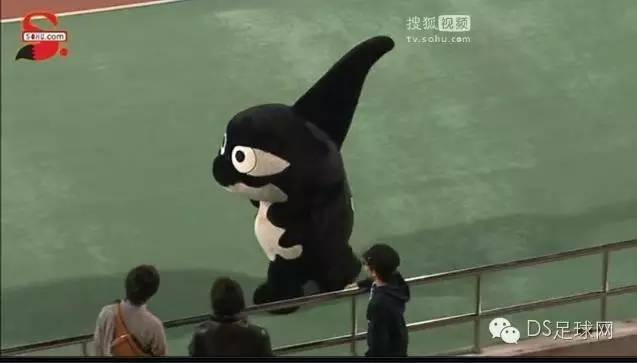 名古屋鲸八vsfc东京,直播fc东京vs名古屋