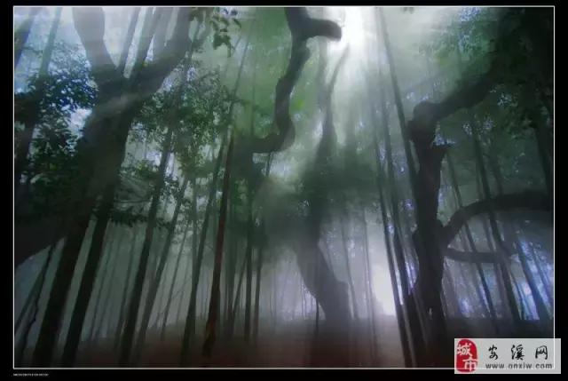 走进中国茶都安溪，看看是怎么样的一座城市