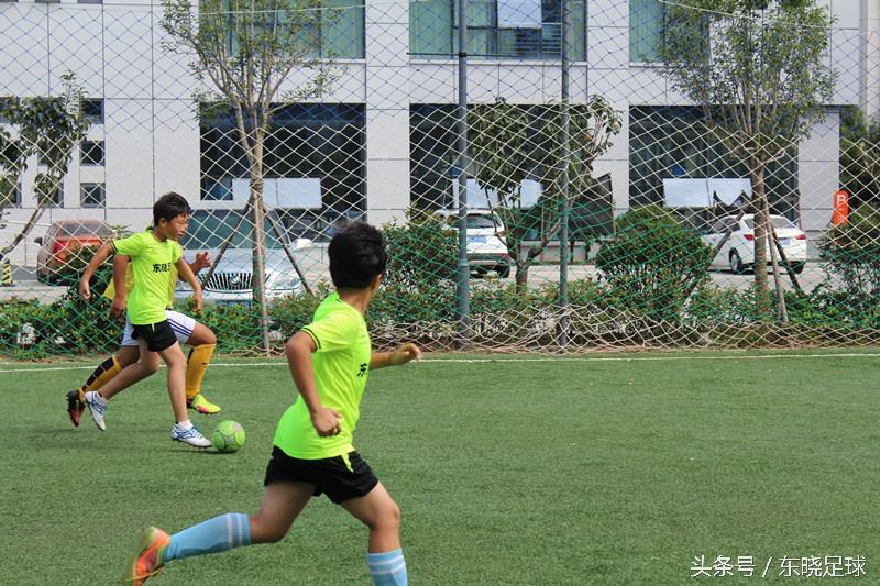 东晓足球,临沂绿荫足球俱乐部电话