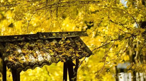 旅行中不期而遇的美好瞬间,旅行遇见一路风景山美水美