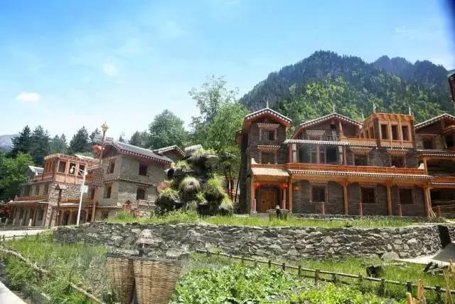 黑水彩林秘境,阿坝藏族羌族自治州黑水彩林