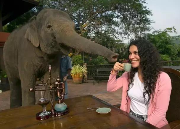 出差要注意的东西,国外黑暗料理