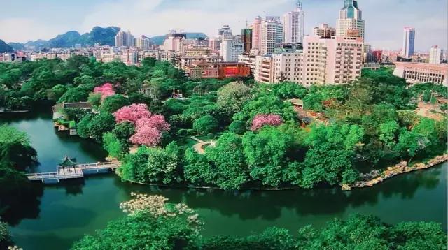 柳州哪个公园有足球场,柳州新建紫荆花公园