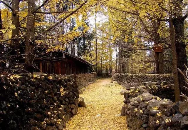 旅行中不期而遇的美好瞬间,旅行遇见一路风景山美水美