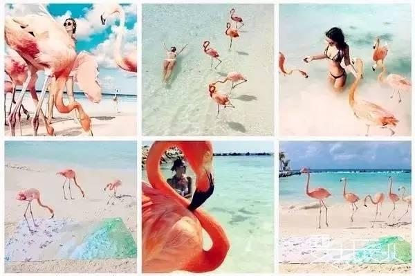 朋友圈发图片怎么不会被推荐,朋友圈图片怎么样让别人不被刷屏