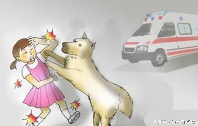 6岁男孩被狗咬13天后发生的事,6岁男孩被狗咬不幸身亡后续