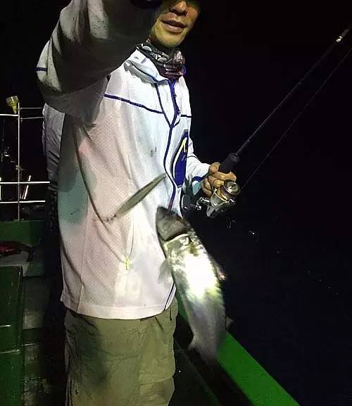 海陵岛手杆钓鱼点攻略,庙湾岛路亚钓点