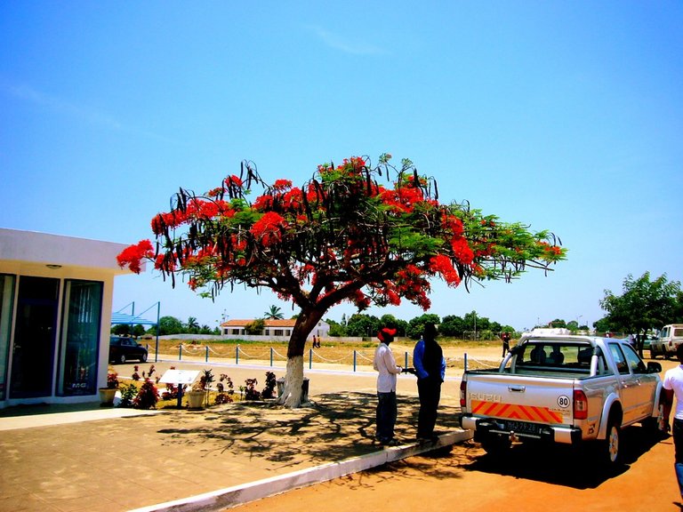 美国杂志推荐全球最佳旅游目的地,纽约时报最佳旅游目的地