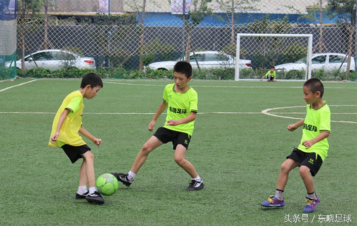 东晓足球,临沂绿荫足球俱乐部电话