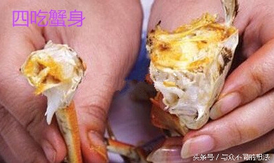 螃蟹怎么挑选公还是母,怎么挑公螃蟹和母螃蟹