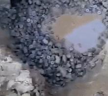 今年不买车的原因,这就是为什么我不买车的原因