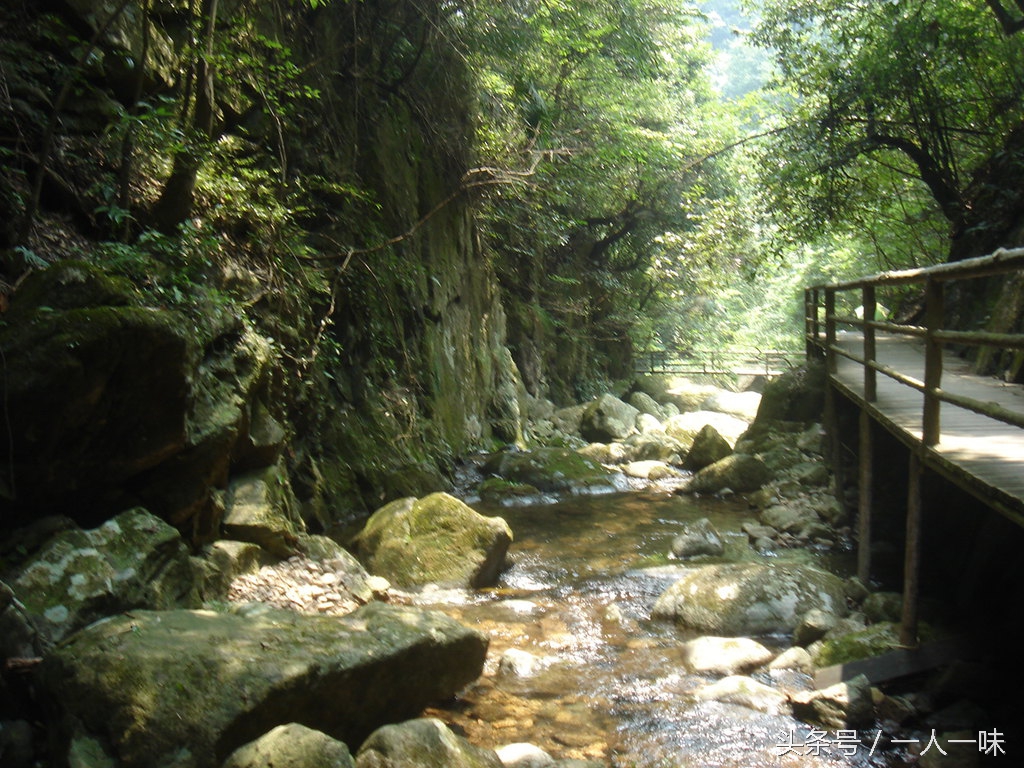 漫游天目山,探幽天目山森林之旅