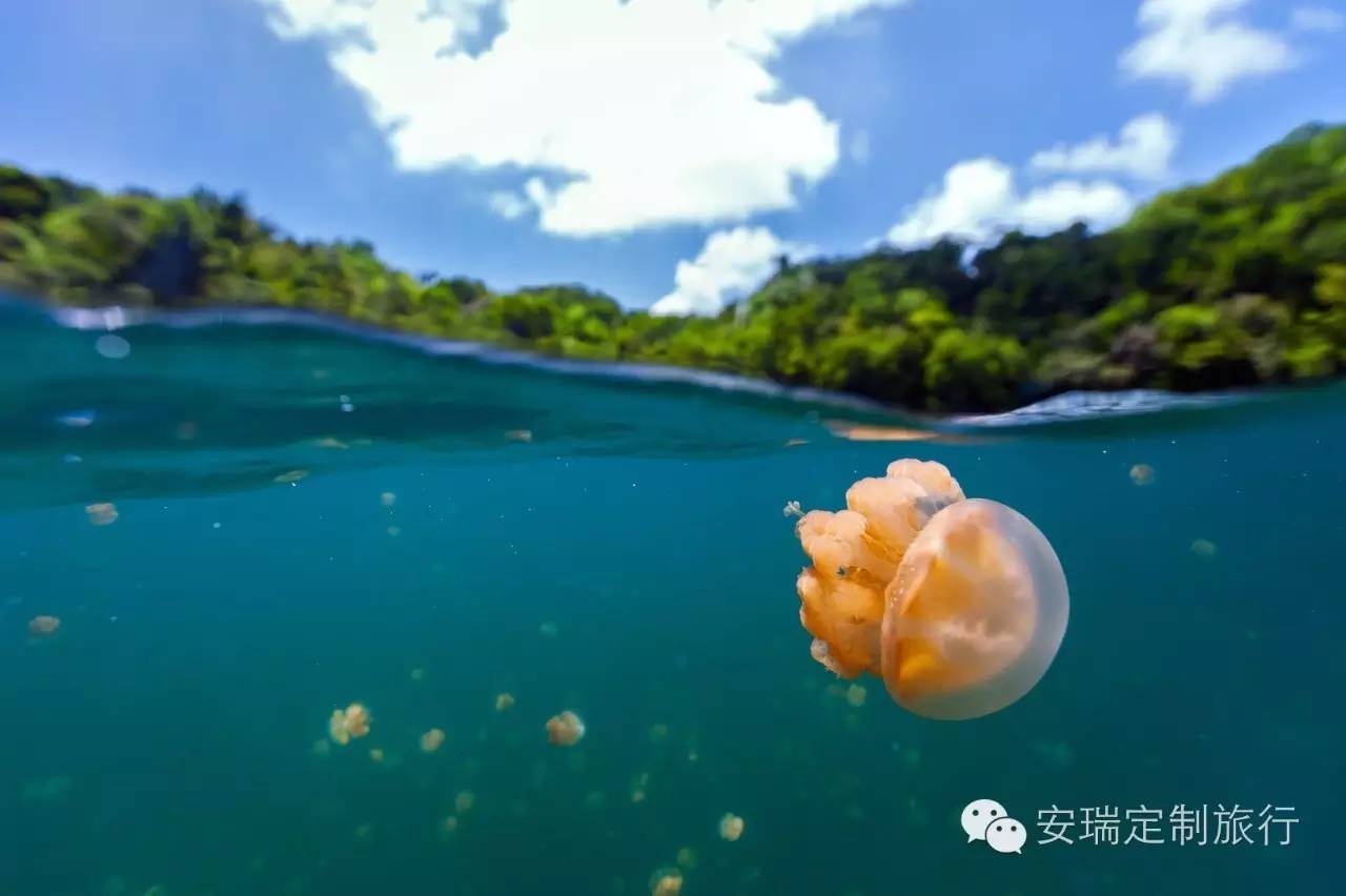 塞班岛和塞舌尔哪个好,塞舌尔菲律宾旅游