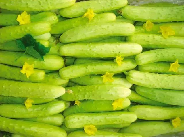 烟台万象汇美食排行榜前十名,烟台旅游攻略必去景点美食