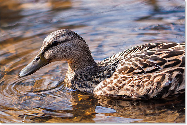 ps精修教程详细讲解阴影和高光,ps怎么修阴影和高光