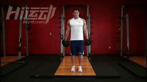 5个很棒的哑铃健身动作,哑铃最简单最实用的健身动作