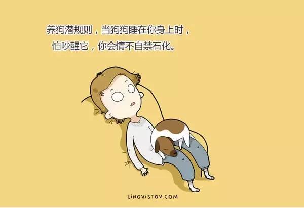 插画师养狗的24个日常,世界上最火的狗插画作品