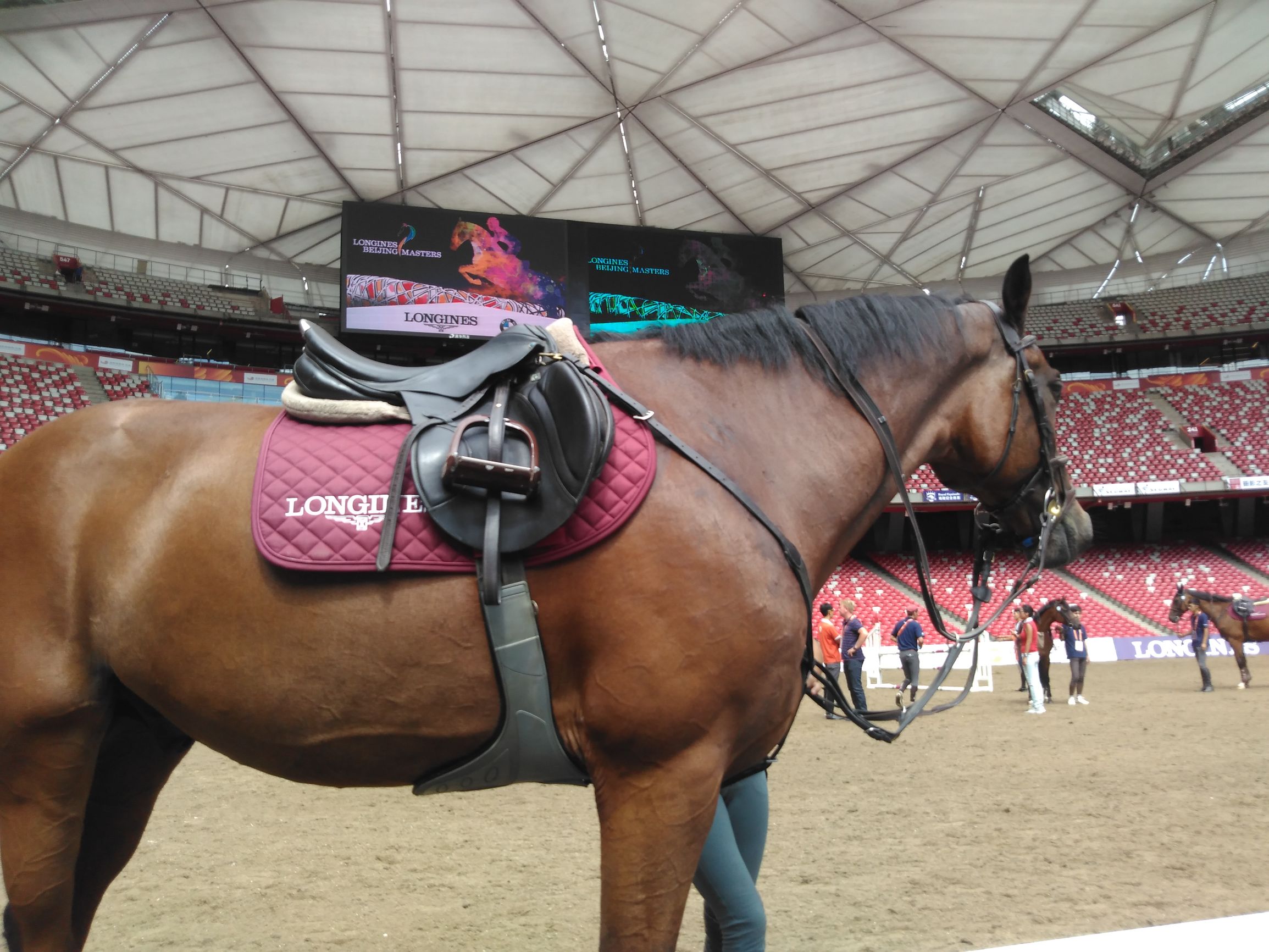 浪琴马术比赛,浪琴国际赛马比赛