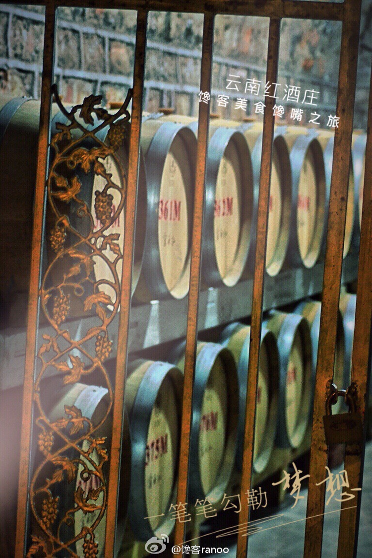馋嘴之旅|与网红同行醉美云南弥勒红酒庄