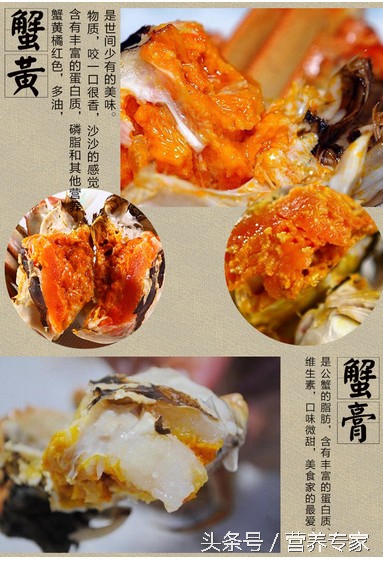 大闸蟹母蟹和公蟹的区别哪个好吃,大闸蟹公蟹还是母蟹好吃