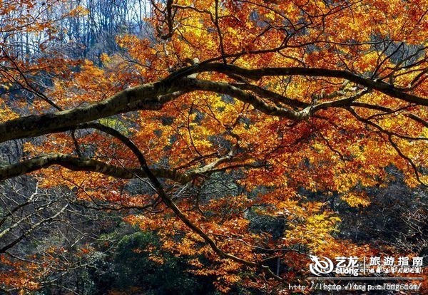 秋天来了该好好生活,秋天来了又该准备秋装了