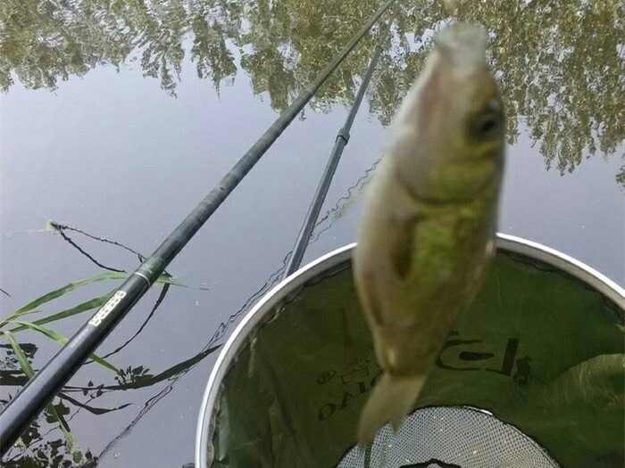 鱼儿并不会因为你用天价鱼竿而青睐于你！