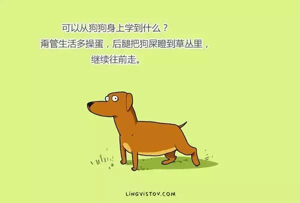 插画师养狗的24个日常,世界上最火的狗插画作品