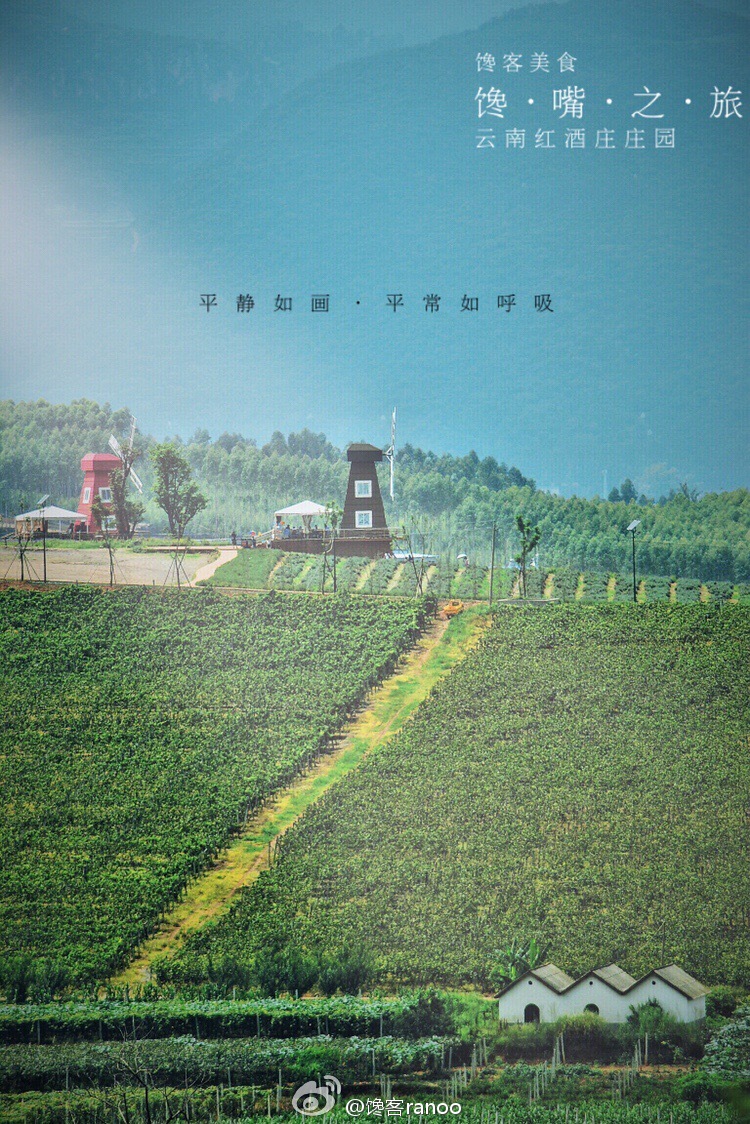 馋嘴之旅|与网红同行醉美云南弥勒红酒庄