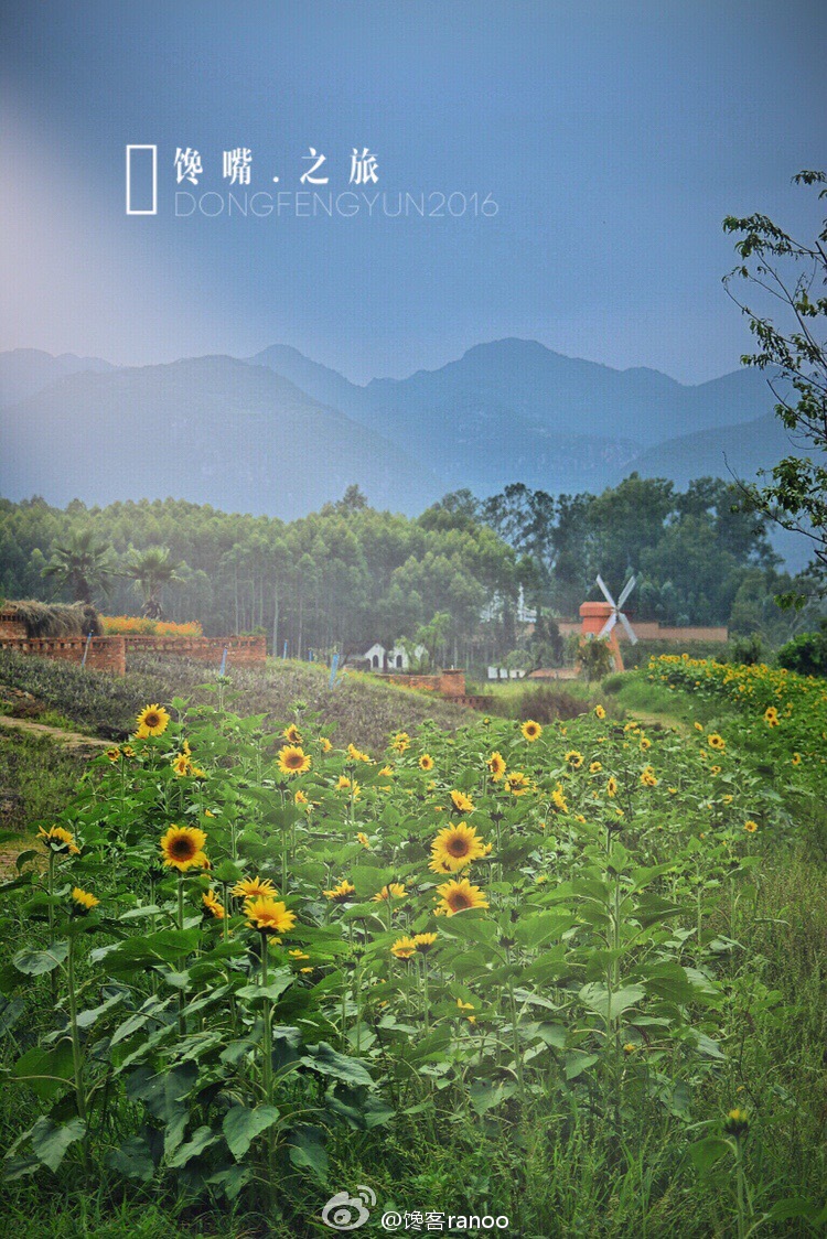 馋嘴之旅|与网红同行醉美云南弥勒红酒庄